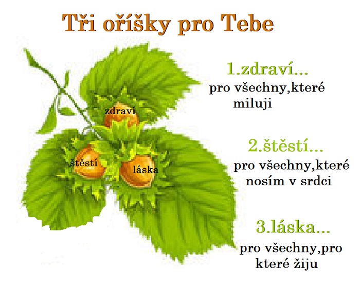 Náhodný obrázek