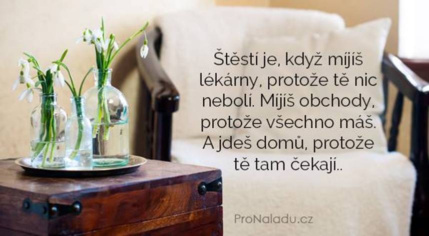 Náhodný obrázek