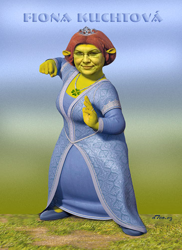 Náhodný obrázek