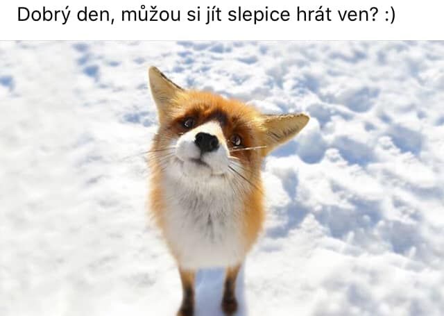 Náhodný obrázek