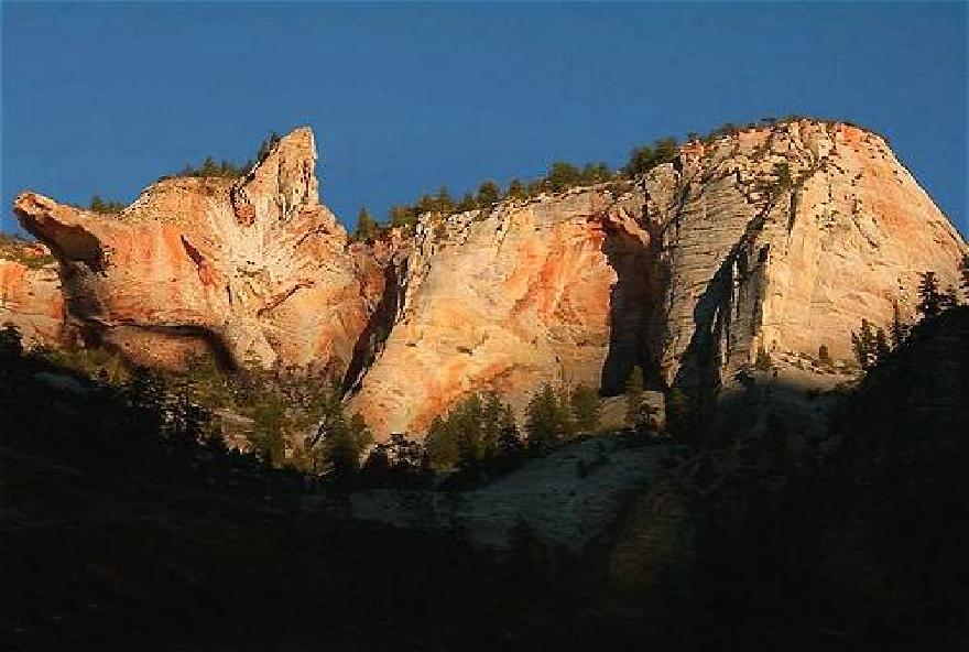 Náhodný obrázek