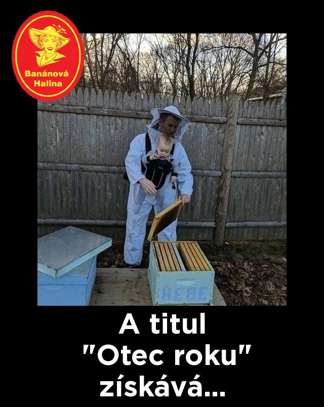 Náhodný obrázek
