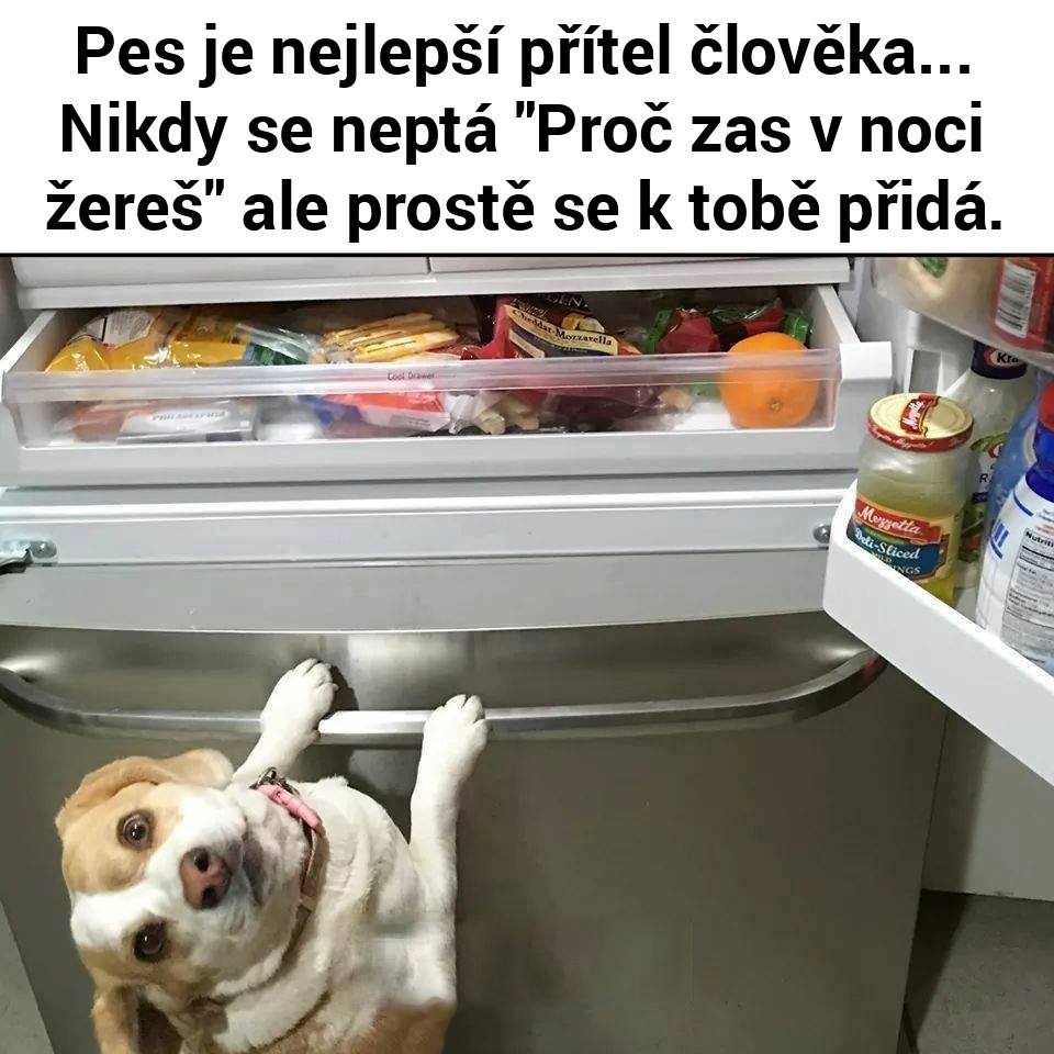 Náhodný obrázek