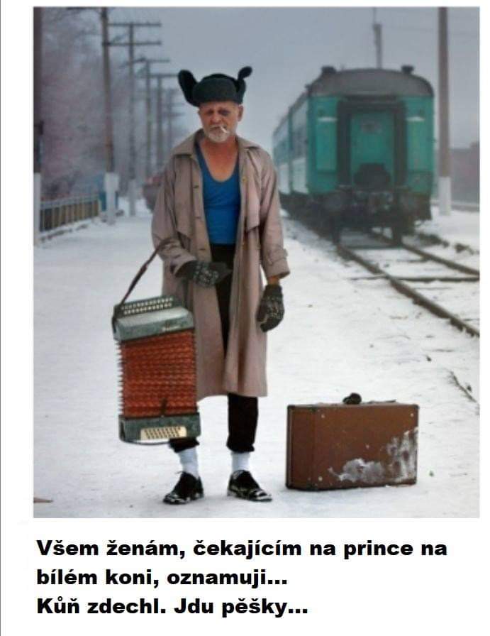 Náhodný obrázek